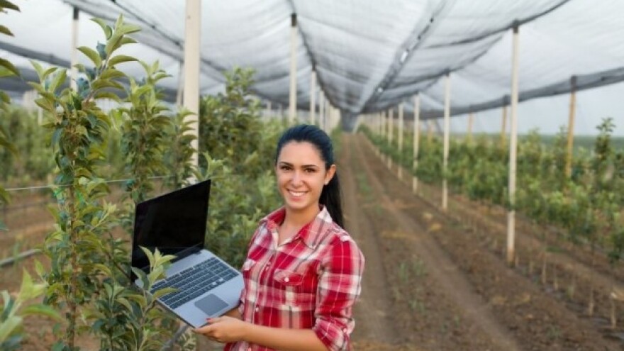 Veliki trgovački lanci ih nisu zaustavili