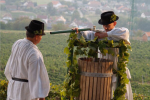 Dođite na dobru kapljicu na Kutjevačko Martinje!