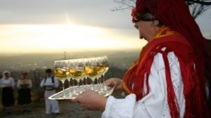 Kutjevačko Vincelovo 2014.