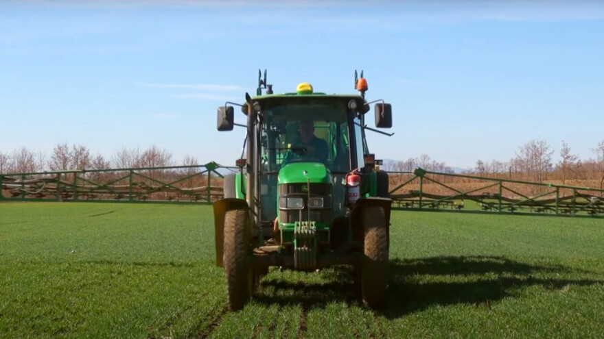 Kako tretirati pšenicu koju je zahvatila bolest?