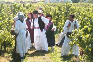 Božjakovina povećava kapital Kutjeva