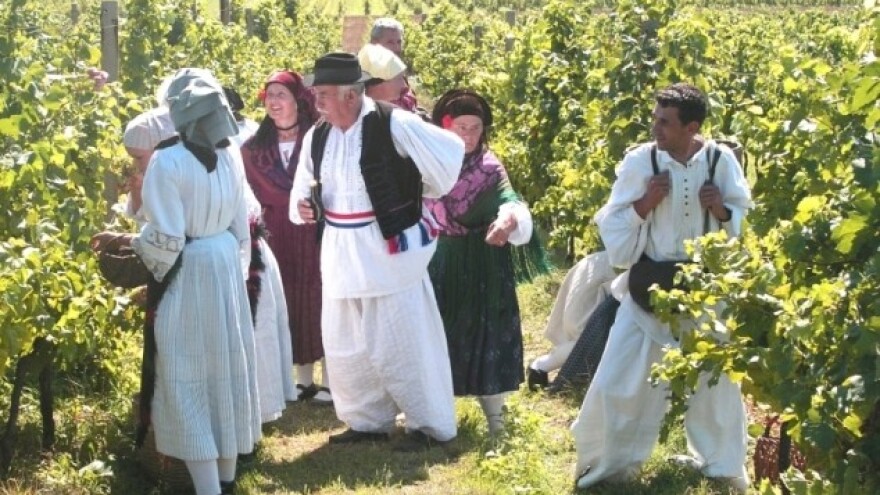 Božjakovina povećava kapital Kutjeva