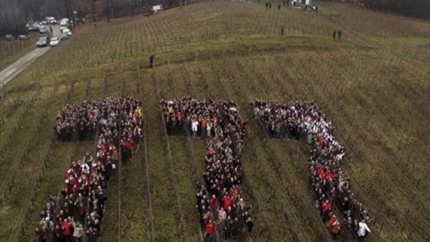 777 zlatnih godina Kutjevačkih vina