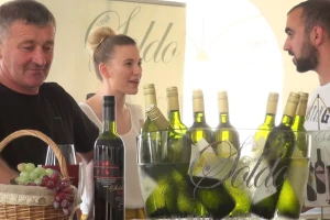 Graševina dobro napreduje: nadamo se dobrom urodu i berbi grožđa