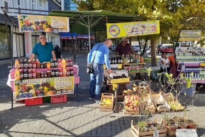 I pored izazovne godine, kvalitet voća izuzetan - Dođite i uvjerite se sami