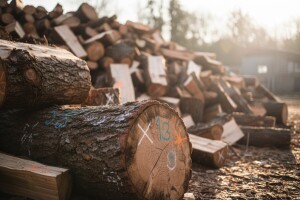 Kvalitetno drvo više ne može postati ogrjev