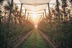 Kvalitetom do europskog iskoraka