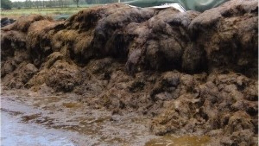 Svi razlozi neuspjeha u spremanju silaža II