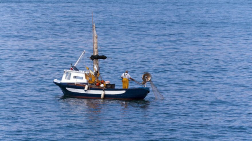 Kvote za 10 komercijalno najvažnijih vrsta riba