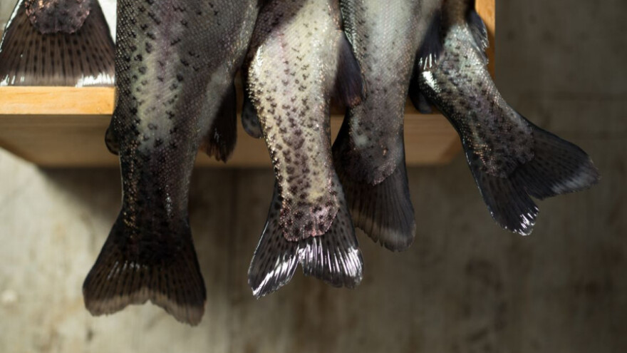 Tehnički problemi s kvotama će se brzo riješiti?