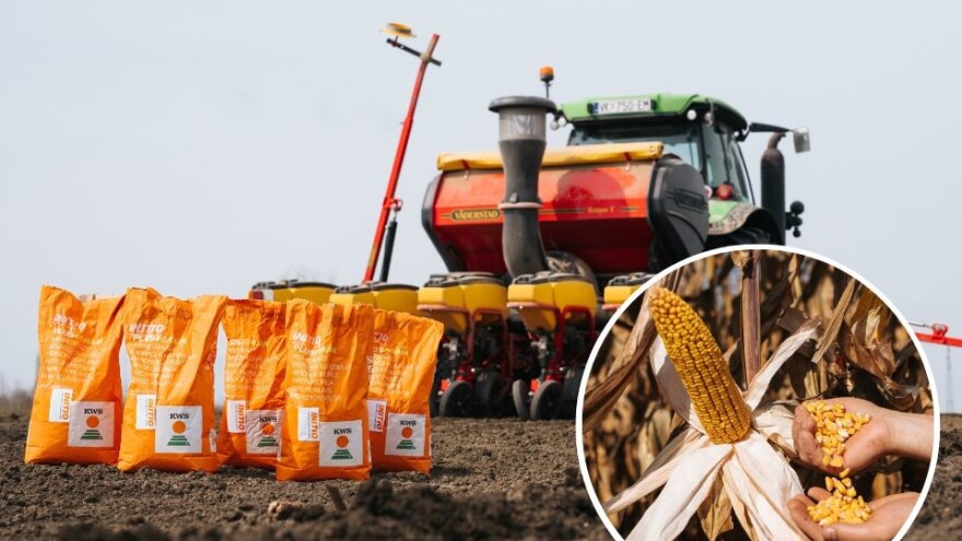 Hibridi kukuruza za proizvođače koji očekuju više