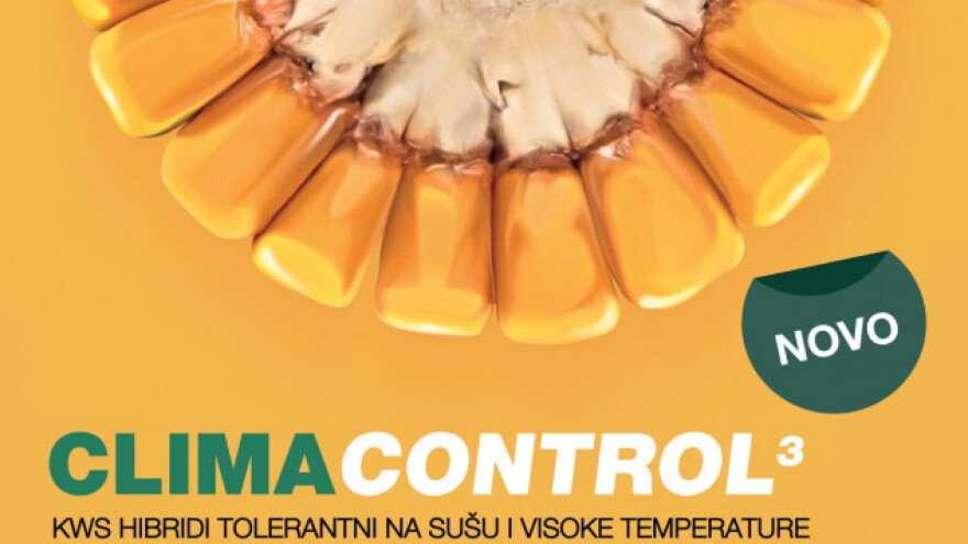 Nova grupa hibrida tolerantnih na sušu!