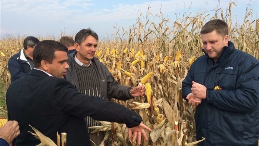 KWS hibridi još jednom oduševili!