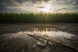 KWS hibridi još jednom oduševili!