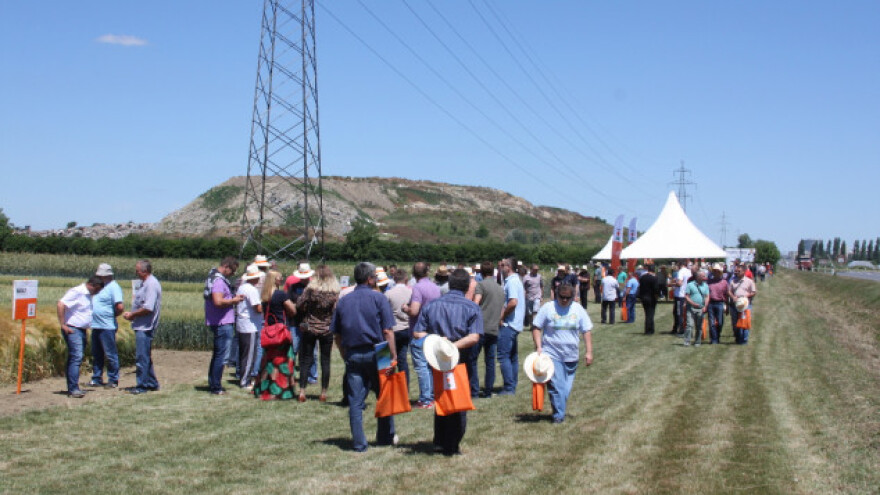 Nema stresa uz hibride i sorte iz KWS-a!