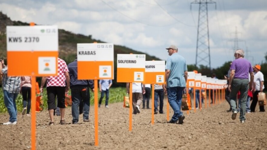 71 sorta 10 kultura na Danima polja KWS-a