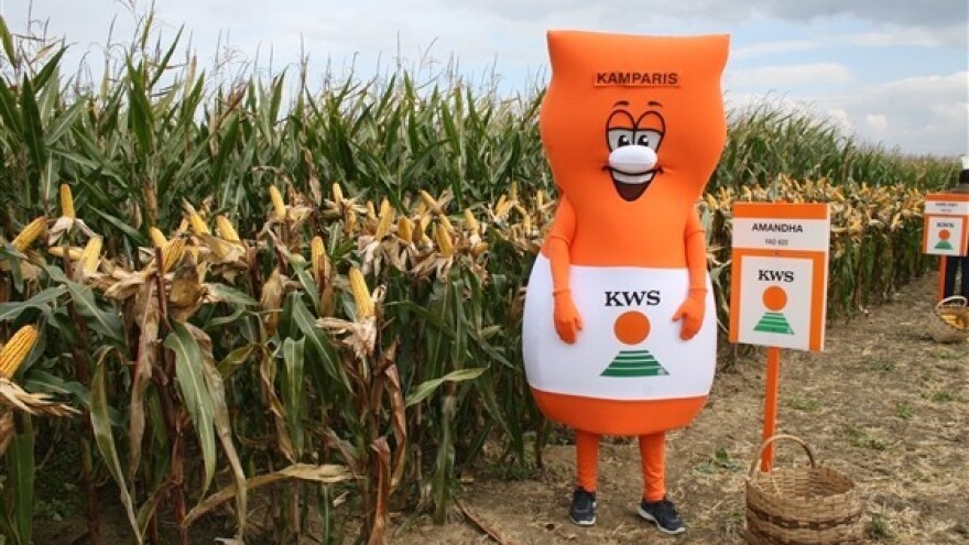 KWS održao prvi kukuruzni kamp!