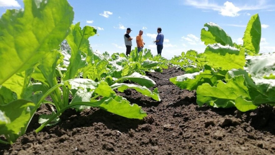 Iskustva proizvođača s CONVISO®SMART sistemom