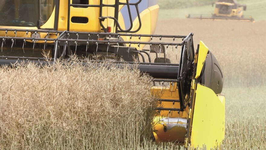 I ove godine preko 5 t/ha s KWS hibridima uljane repice!