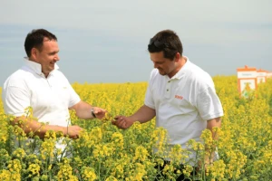 Odlični rezultati KWS uljane repice!