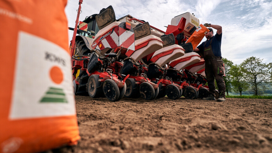 Krećemo sa sjetvom silažnih hibrida, evo na šta je potrebno obratiti pažnju!