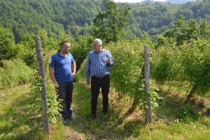 Ministar Marić: Pravovremenim poticajima stimulisati poljoprivrednike