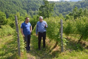 Ministar Marić: Pravovremenim poticajima stimulisati poljoprivrednike