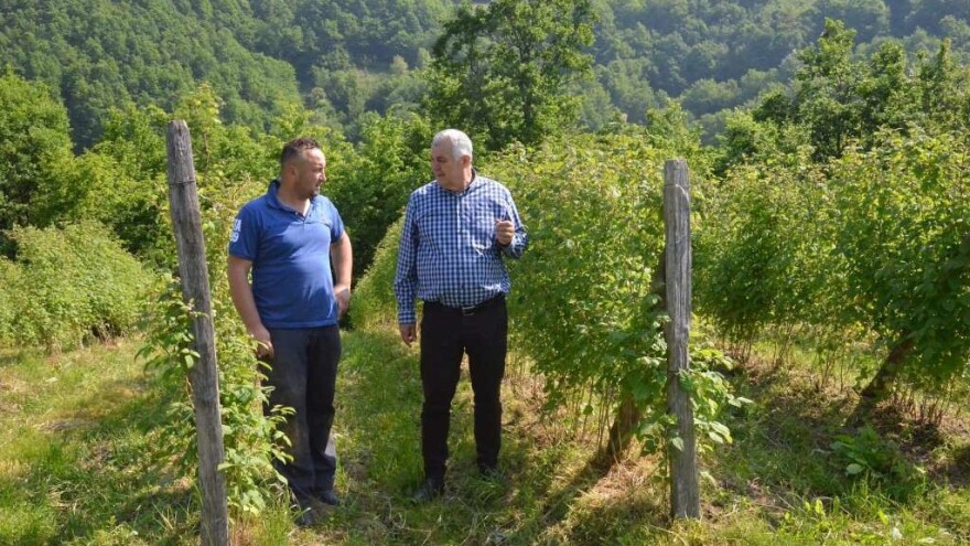 Ministar Marić: Pravovremenim poticajima stimulisati poljoprivrednike