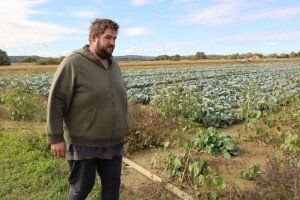 Pokrali paprike, oštetili sustav navodnjavanja: Kakvo je to vrijeme došlo kad ni povrće nije sigurno od lopova?