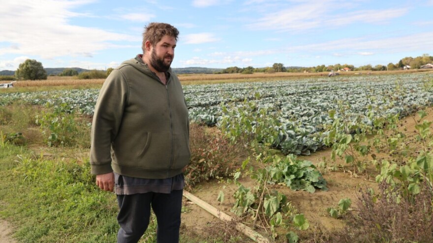 Pokrali paprike, oštetili sustav navodnjavanja: Kakvo je to vrijeme došlo kad ni povrće nije sigurno od lopova?