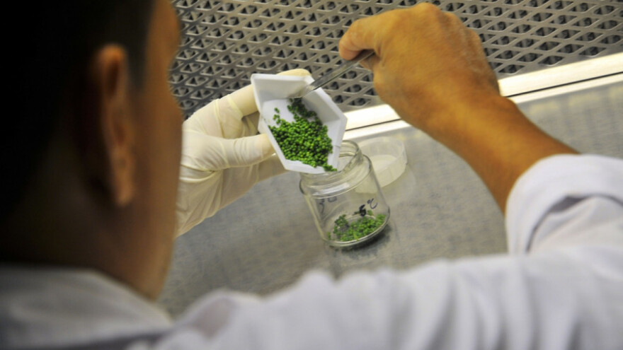 Naša hrana bezbedna i kvalitetna