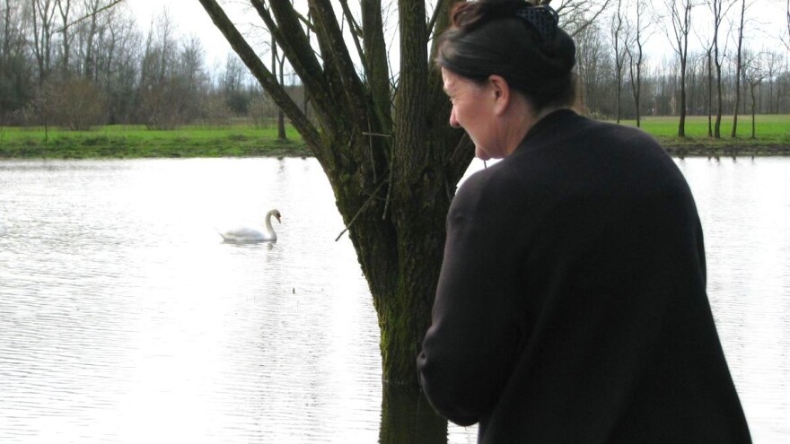 Labud pliva oranicama na kojima treba krenuti sjetva