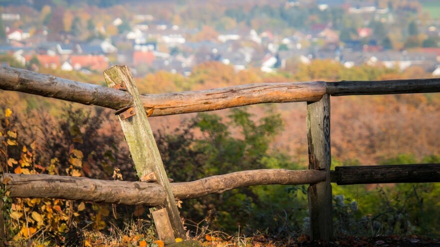 Aktivnosti LAG-ova u 2017. godini