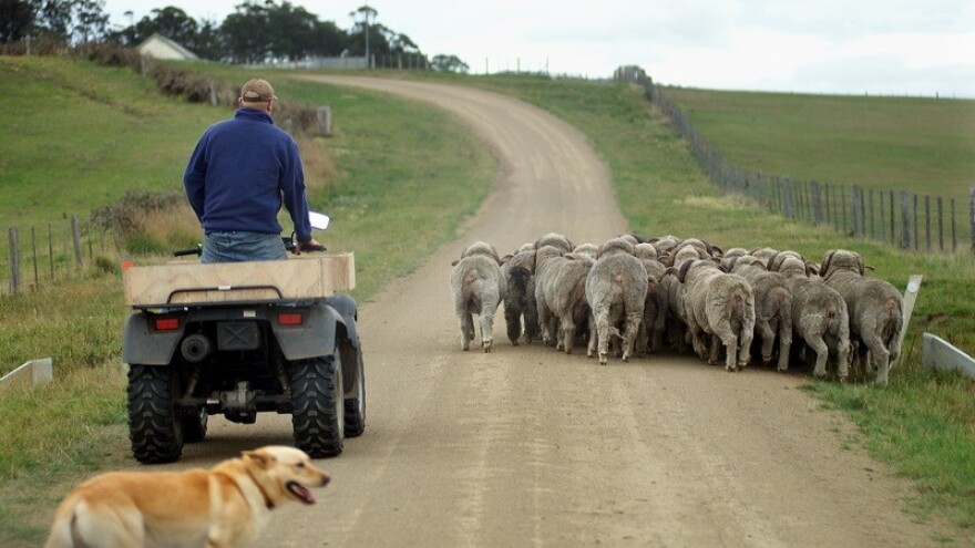 EU novcem do razvoja poljoprivrede na Pagu i Rabu