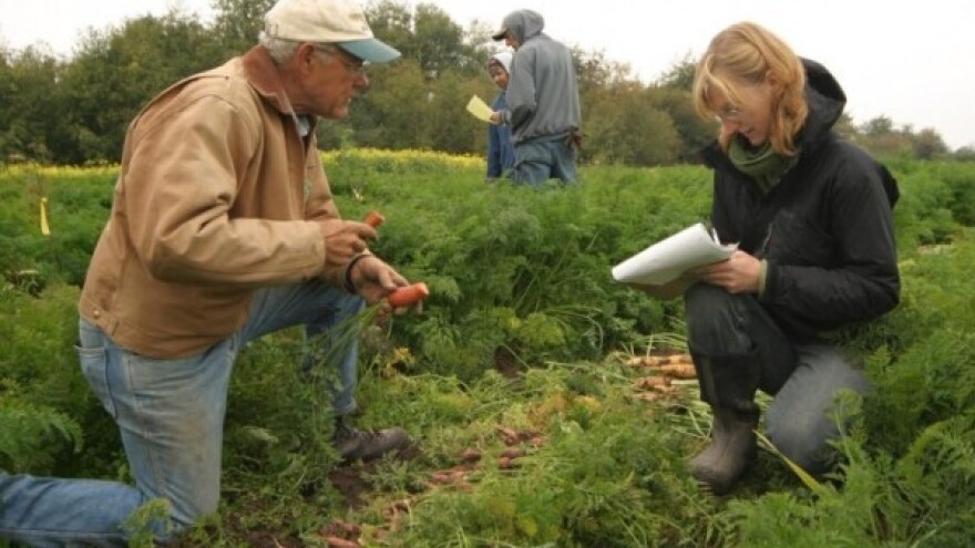 Šta je LAG, a šta LIDER?