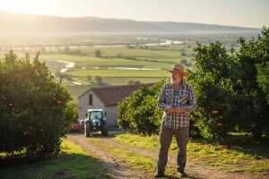 LAG-ovima sredstva iz IPARD-a