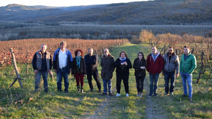 LAG Sjeverna Istra: Put tartufa, integrirano vinogradarstvo i aromatika