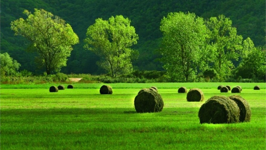 Objavljen natječaj za podmjeru 19.1