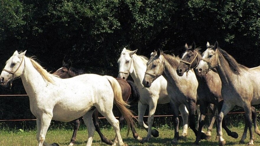 LAG Strossmayer: oživljavanje ruralnog područja razvojem poljoprivrede i turizma