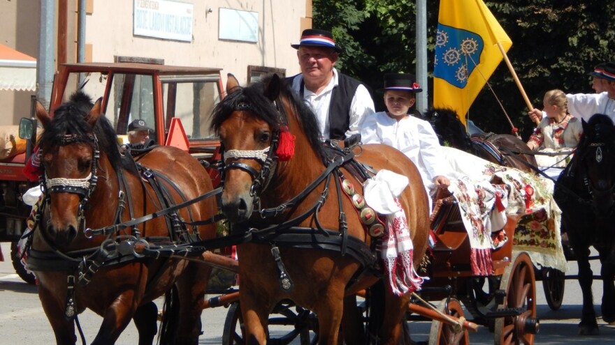 Znate li da se na području LAG-a Una nalazi 50% svih šuma kestena u Hrvatskoj?