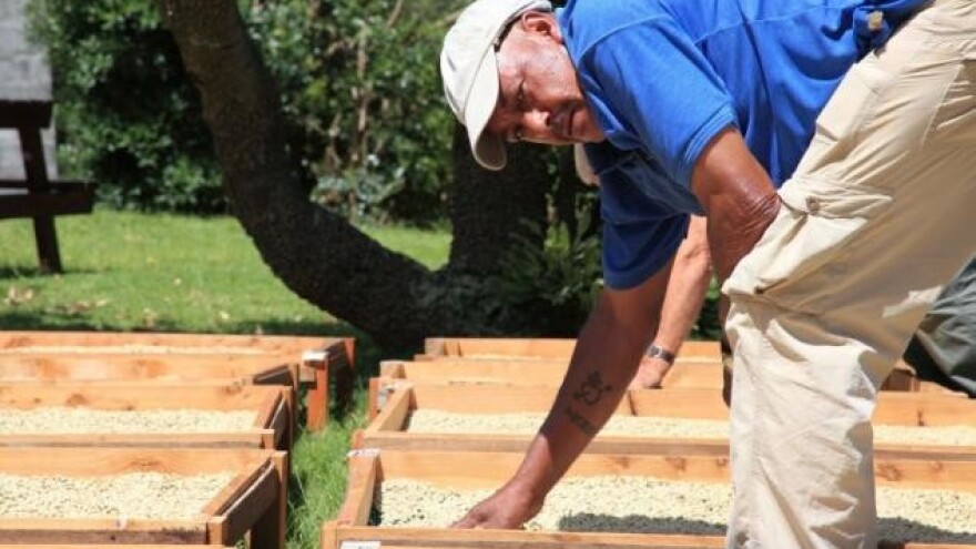 890 tisuća kuna iz IPARD-a za LAG-ove!