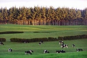 Seminar "LAG-ovi kao nositelji razvoja ruralnih zajednica"