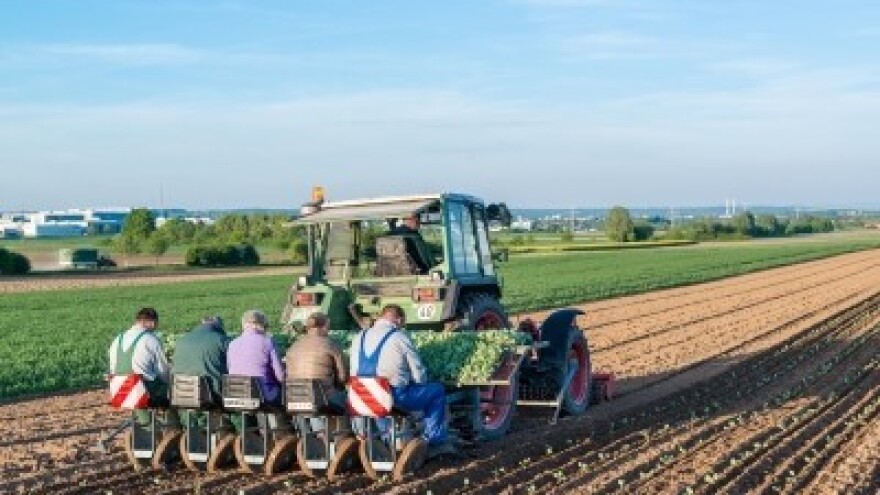 Kako povezati male poljoprivredne proizvođače?