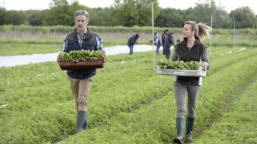 Mjera 19: Privremena rang lista LAG-ova