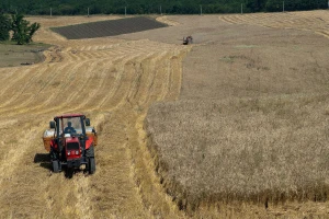 Lagerovanje pšenice najisplativije rešenje
