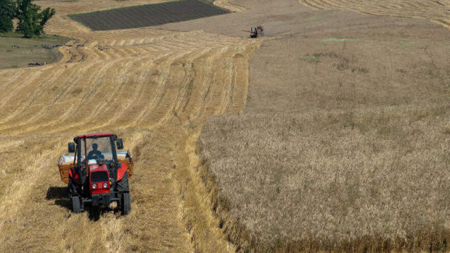 Lagerovanje pšenice najisplativije rešenje
