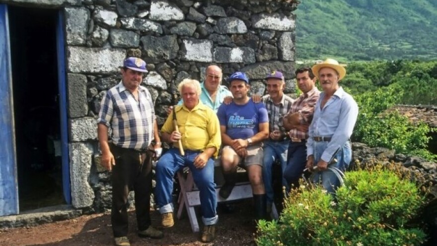 Pola milijuna kuna za LAG-ove