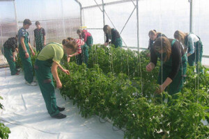 LAG-ovi prva karika u lancu ruralnih projekata