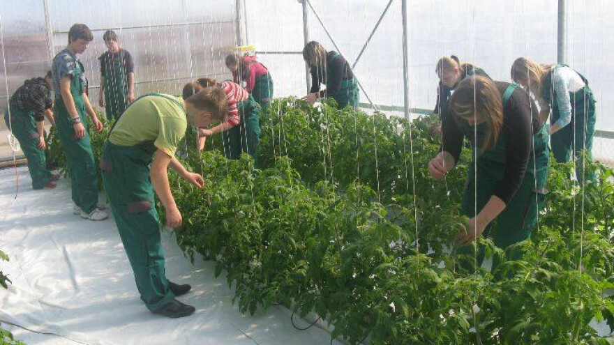 LAG-ovi prva karika u lancu ruralnih projekata