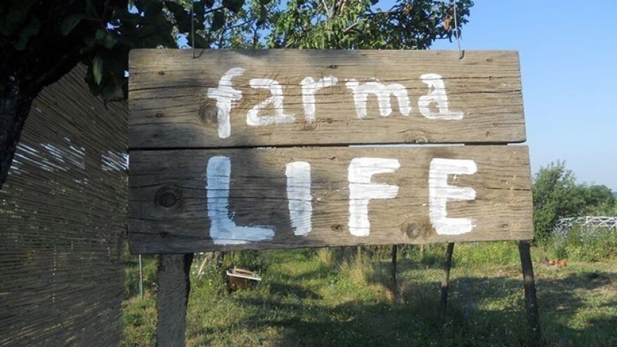 Organska farma umesto gradske buke i stresa